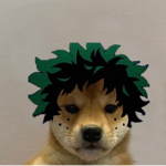 Doge Army Training Corps USDC