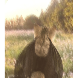 The DragoCats Hangout