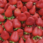 |Sour Strawberries|