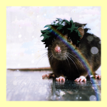 Me anime rat children!