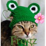 •Frogz•