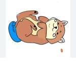 Cookiesgummysfunny