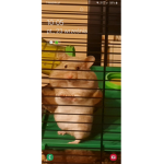 Alek123