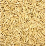 The Grain Group