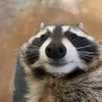 But giveaway for friends