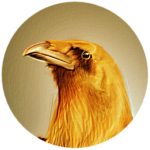 The Dulux crows