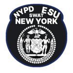 SWAT ((WEST BRONX 2)