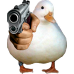 paco grupo