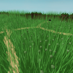Grass Kingdom