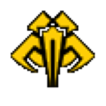 The Zann Consortium