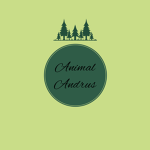 ANIMAL AND BUNNY STUDIOS