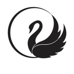 The Black Swan