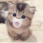 M00N <3