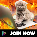 Cats of Death