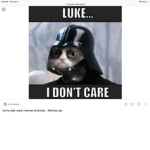 GALACTIC EMPIRE (for cats)