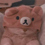 orbits crib