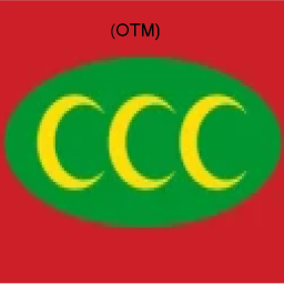 Ottoman Empire rally game