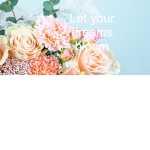 Beauty Flower Garden