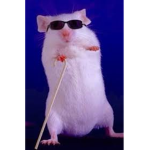 mouse need money