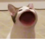 동물들 모임