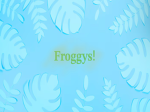 Froggy’s apperel!