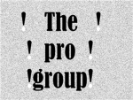 The pro group