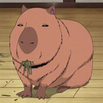 Capybara’s dudes