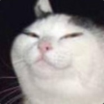 Sunflower Squad offical fan group