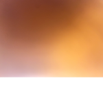 Jacky123