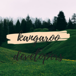 Kangaroo Developers