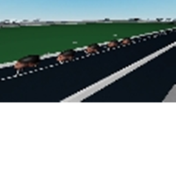 RACE CAR