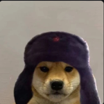 Russian doge crew