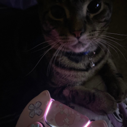 ♡｡ ‿︵‿ ｡♡