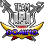 Team Domino Sniper Division