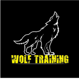 WOLF BROTHER TRAINING