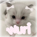 wuri