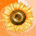 Sunflower Haven