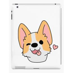 --Corgi Hangout--