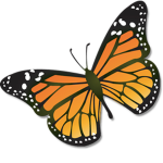 Butterfly Squad YT!