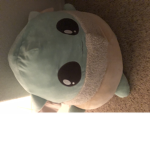 Pokémon and Bucky gone