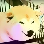 Friend & Doge Club!