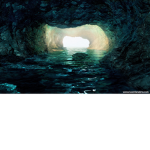 The Aqua Grove