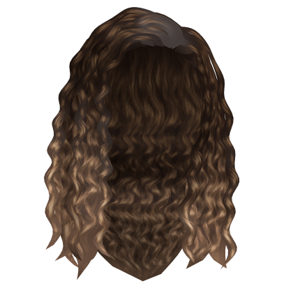 Curly Long Hair (Ombre 1) Roblox item