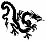 The shadow dragons T.D.S