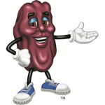 The Royal Bean Kingdom