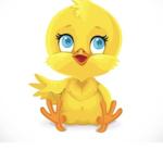 The chicklits!