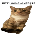 Kitty Conglomerate