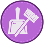 Experienced Cleaner