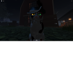 :3 Xanders Kittens! :3