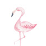 TheFlamingo -.-